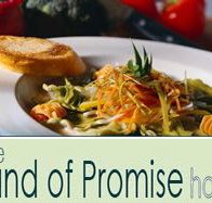 Land of Promise Hotel - South Australia Travel