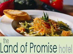 Land Of Promise Hotel - South Australia Travel 0