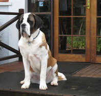St Bernards Hotel - South Australia Travel