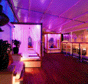 Circus Bar  Night Club