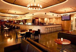 Martin Place Bar - South Australia Travel 0