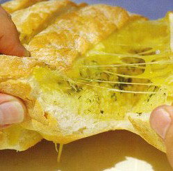 Bribie Island QLD South Australia Travel