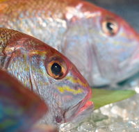 Coro Hotel - Lure Seafood Restaurant - South Australia Travel
