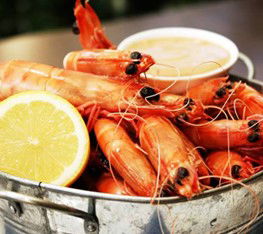 Full Moon Hotel - Moonlight Dining - South Australia Travel 0