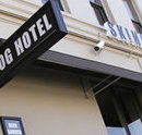 Skinny Dog Hotel - South Australia Travel