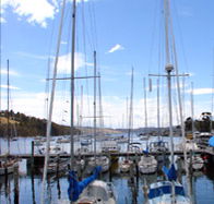 Oyster Cove Inn - South Australia Travel