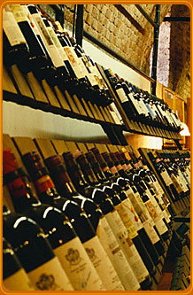 Square Bar - South Australia Travel 1