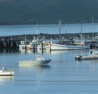 The Apollo Bay Hotel - South Australia Travel
