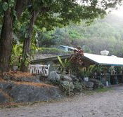 Ellis Beach Bar  Grill - South Australia Travel