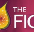 Pickled Fig - South Australia Travel