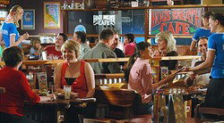 Hogs Breath - Mandurah - South Australia Travel 0