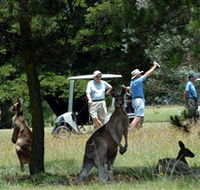 Glen Innes Golf Club - South Australia Travel