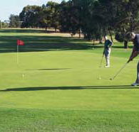 Waikerie Golf Club - South Australia Travel