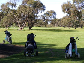 Minlaton Golf Club - South Australia Travel 3