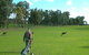 Coffin Bay Golf Club - thumb 0