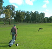 Coffin Bay Golf Club - South Australia Travel