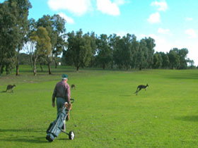 Coffin Bay Golf Club - South Australia Travel 0