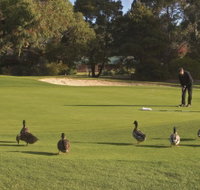 Royal Hobart Golf Club - South Australia Travel