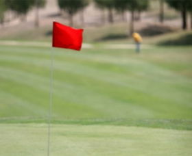 Gold Creek Country Club - South Australia Travel 0