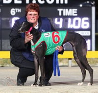 Bulli Greyhound Racing Club - South Australia Travel