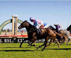 Hawkesbury Race Club - South Australia Travel 1