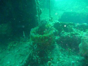 Wallaroo Scuba Club - South Australia Travel 0
