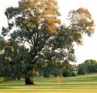 Cowra Golf Club - South Australia Travel