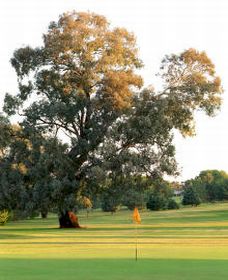 Cowra Golf Club - South Australia Travel 0