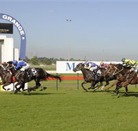 Kembla Grange Racecourse - Illawarra Turf Club - South Australia Travel