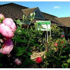 Leura NSW South Australia Travel