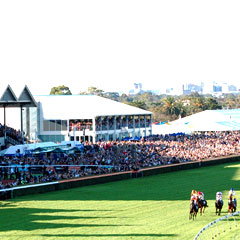 South Australian Jockey Club - South Australia Travel 0