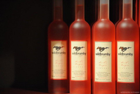 Fennell Bay Cellars - South Australia Travel 0