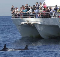 MoonshadowTQC Cruises - South Australia Travel