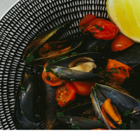 The Italian Diner - South Australia Travel