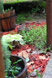 Herveys Range Heritage Tea Rooms - South Australia Travel 1