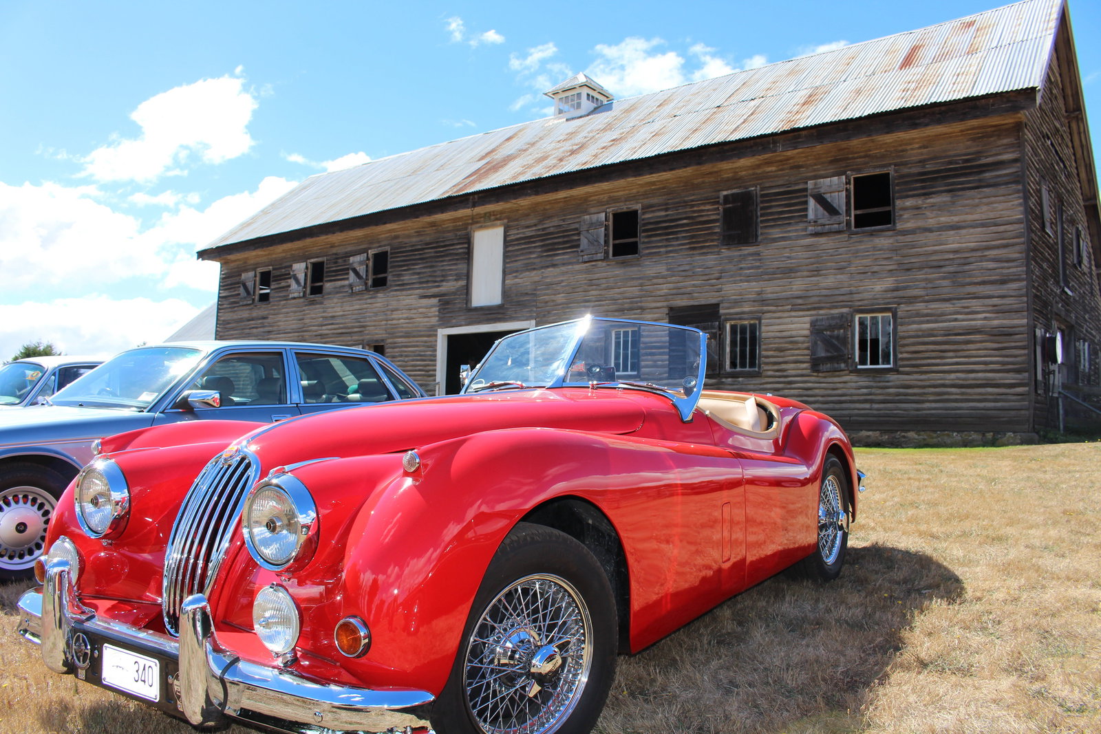 Liffey TAS South Australia Travel