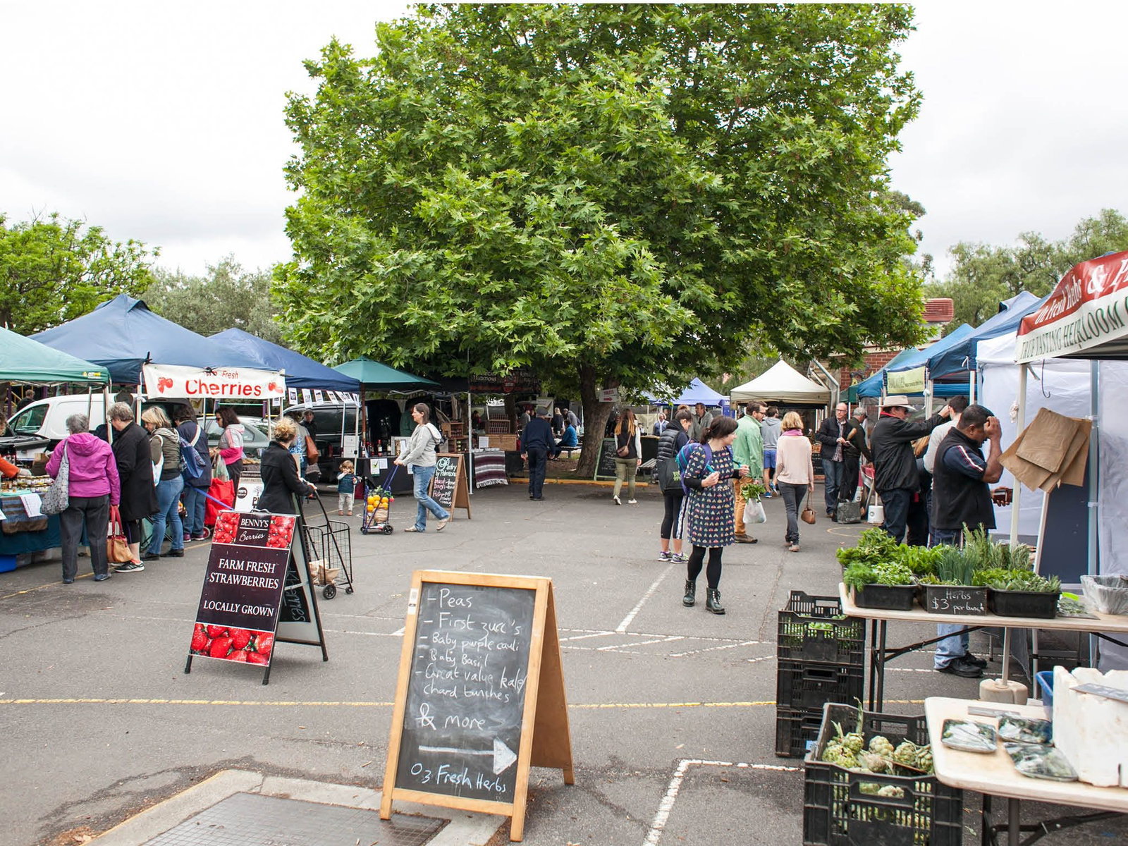 Alphington VIC South Australia Travel
