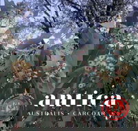 Antica Australis - Winter Fire Festival - South Australia Travel
