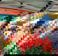 Ballina Missingham Farmers Market - South Australia Travel