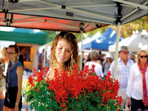 Ballina Missingham Farmers Market - South Australia Travel 0