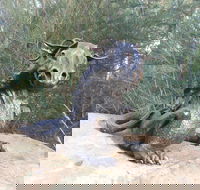 Bathurst Arts Trail - South Australia Travel