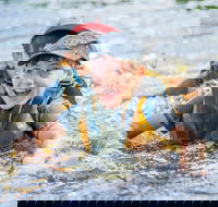Cave Hill Creek Summer Camp - South Australia Travel