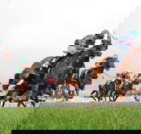 Christmas Cup Race Day - South Australia Travel