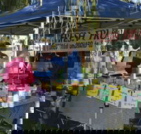 Corowa Rotary Federation Festival Market - South Australia Travel