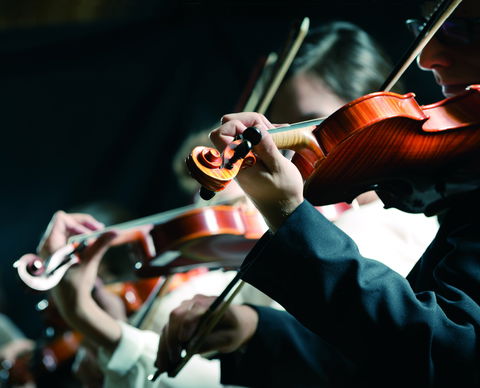 Crossroads Festival Of Chamber Music - South Australia Travel 0