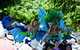 Family Fun Carnivale - thumb 0