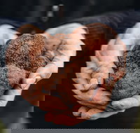 Feast and Forage - Craig's Royal Hotel - South Australia Travel