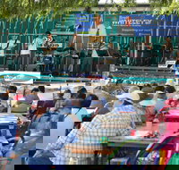 Festival in the Park - South Australia Travel