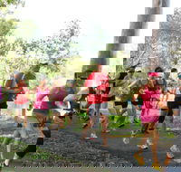 Gladstone Weekly Parkrun - South Australia Travel