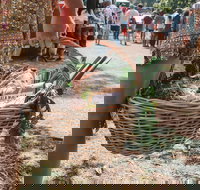 Gladstone Quality Markets - South Australia Travel